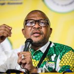 This Country Will Turn Into Rubble Like Zimbabwe-Mbalula