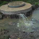Rusape Residents Wallow In Sewage As Crisis Deepens