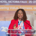 Securing Insurance in a Digital Zimbabwe